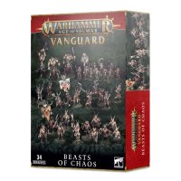Beasts of Chaos Vanguard Box