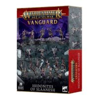Hedonites of Slaanesh - Vanguard Box