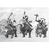 Conquest - Wadrhun: Thunder Riders