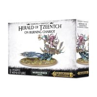 Disciples of Tzeentch - Herald of Tzeentch on Burning...