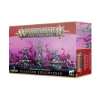 Disciples of Tzeentch - Tzaangor Enlightened