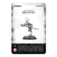 Disciples of Tzeentch - Magister