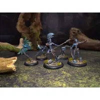 ArcWorlde - Wild Elven Starter Warband Box