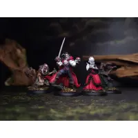 ArcWorlde - Vampires Starter Warband Box