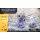 STARCRAFT® - Protoss - Zeratul Hero Expansion Set (Englisch)